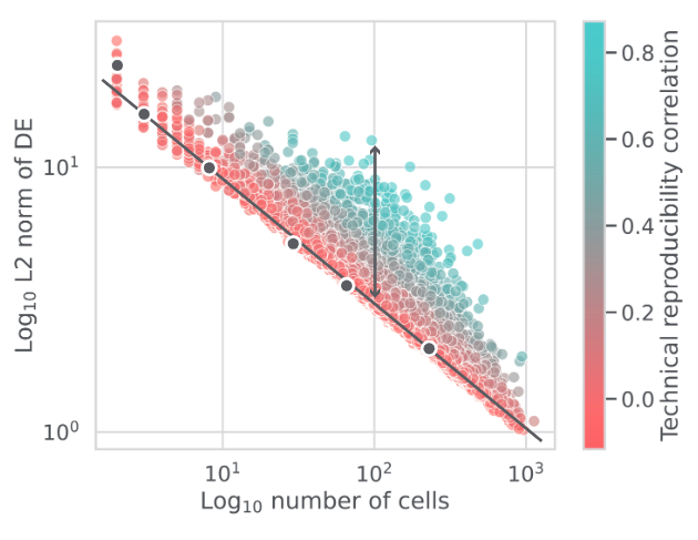 Correcting cell count bias improves perturbation effect estimates and virtual cell models